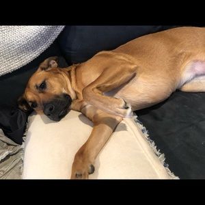 Meet your Posher, Ellie